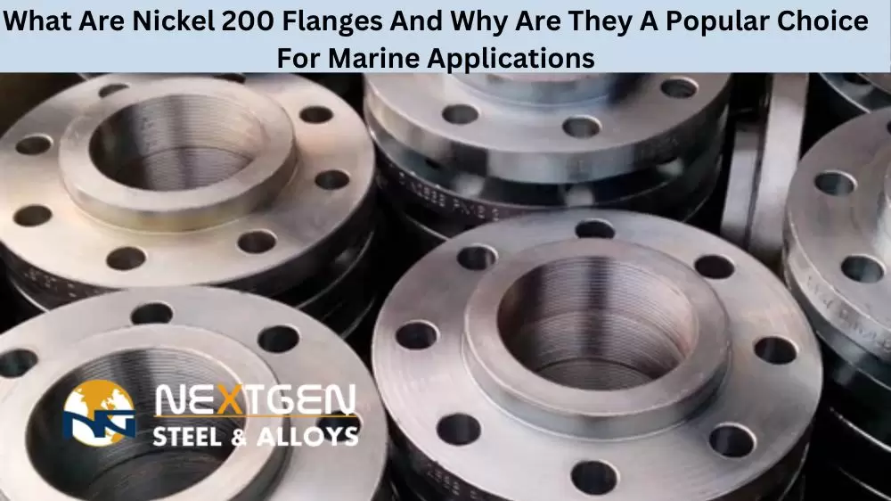 Nickel 200 Flanges
